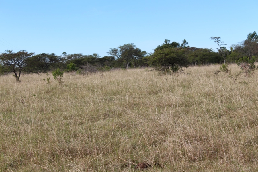 1 Bedroom Property for Sale in Bathurst Rural Eastern Cape
